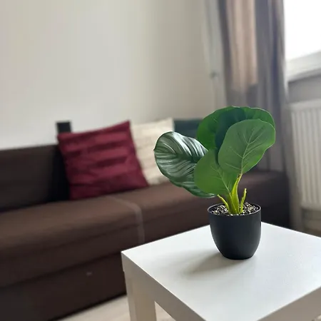 Stylish Right In The Heart Of Apartment