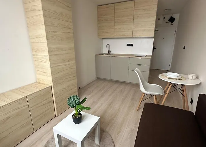 Stylish Right In The Heart Of Apartment Kosice